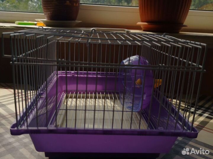 Клетка для джунгарского хомяка