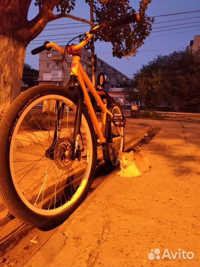 MutantBikes Evolution 26