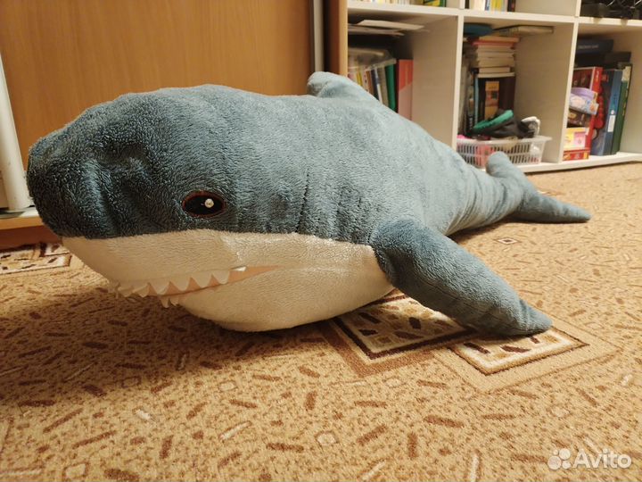 Акула блохэй Икеа
