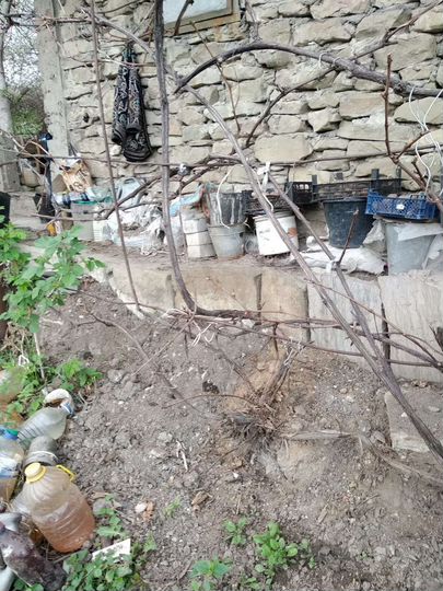 Участок 6 сот. (СНТ, ДНП)