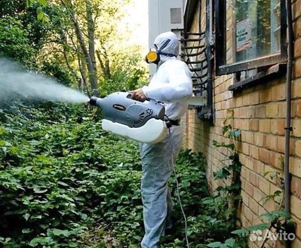 Тараканов клопов клещей комаров плесени борщевика