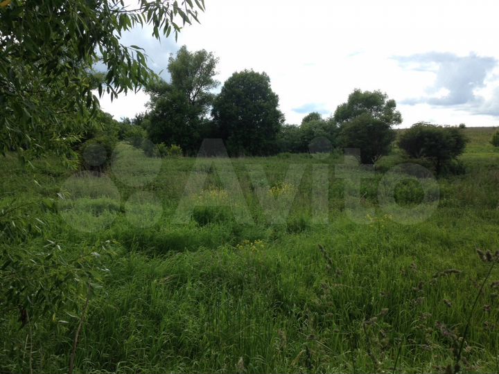 Участок 100 сот. (ИЖС)