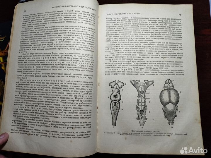 Книга жизнь животных Брэм 1939