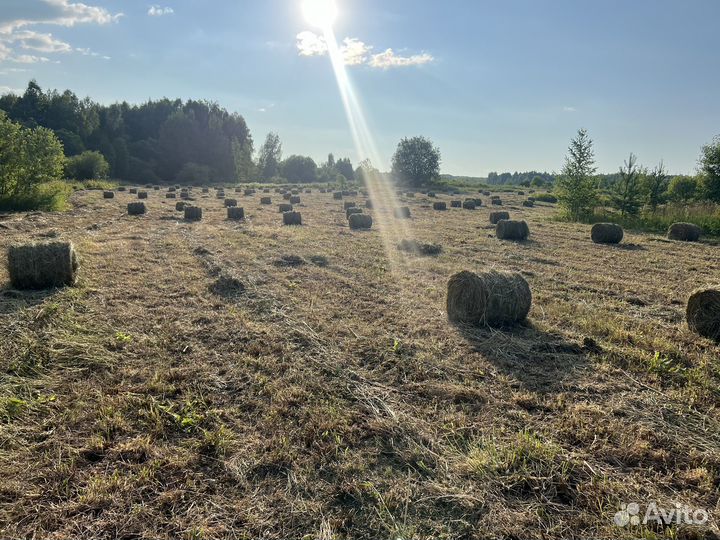 Сено в рулонах