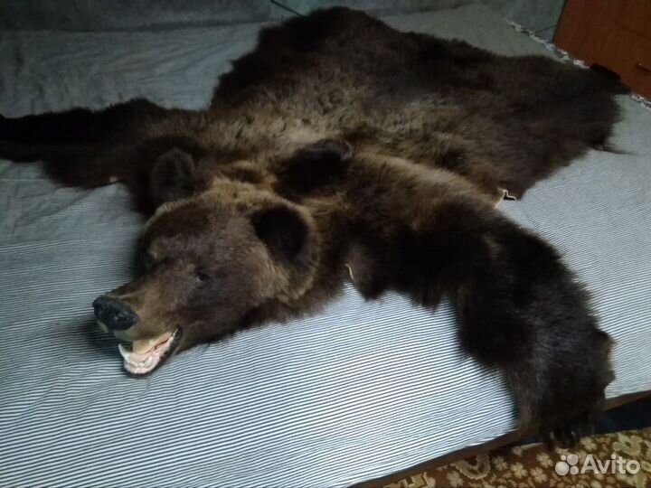 Шкура медведя (имитация)