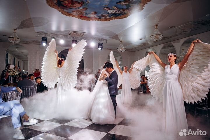 Дмитрий Mauzer - Ведущий на свадьбу, Тамада + Dj