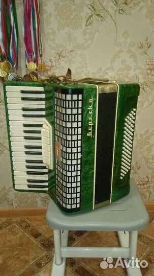 Аккордеон березка