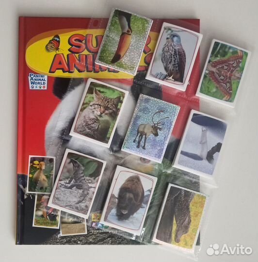 Panini Super Animals - Альбом и сет наклеек
