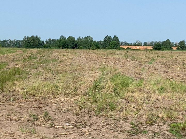 Участок 10 га (СНТ, ДНП)