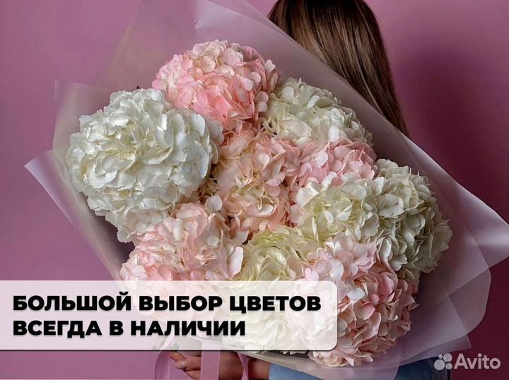 Гортенизии