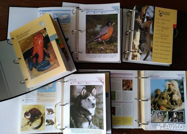 Энциклопедия В мире дикой природы