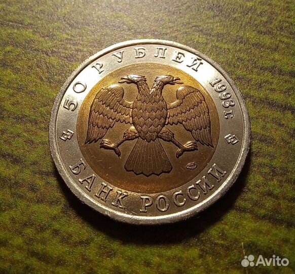 50р 1993г Гималайский медведь UNC