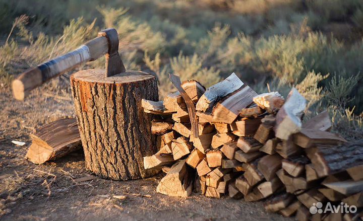 Каменный уголь до. Дрова для отопления и каминов