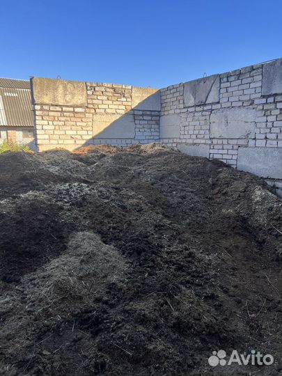 Конский навоз бесплатно