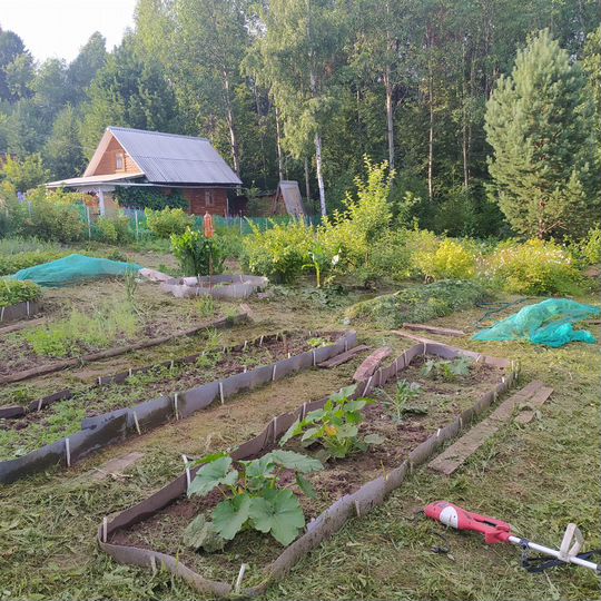 Участок 7,4 сот. (СНТ, ДНП)