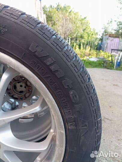 Tigar Winter 1 215/55 R17 98V