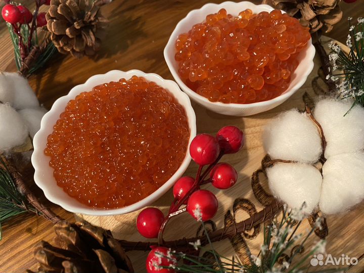 Красная икра улов 2023