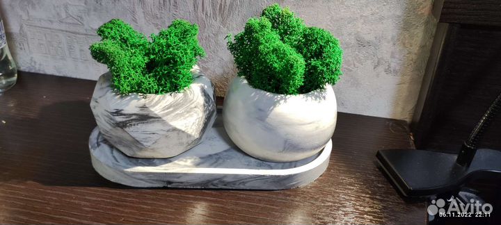 Кашпо со мхом стабилизированным