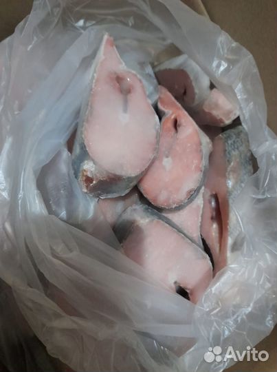 Рыба свежемороженая с доставкой на дом