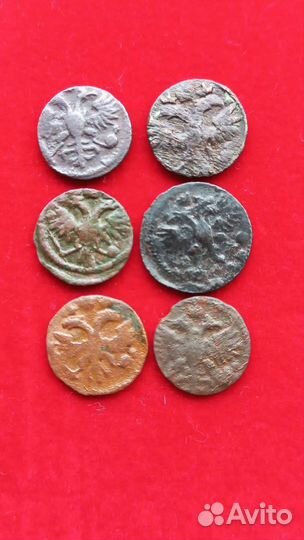 Монеты Петровского периода врп