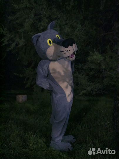 Комедийное шоу Жил-был Волк Проведение шоу