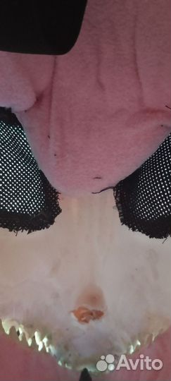 Фурсьют раптор скалл дог