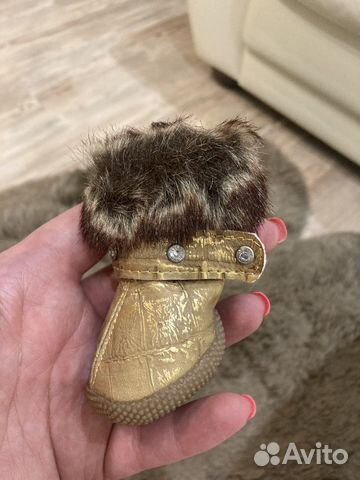 Обувь для собак мелких пород