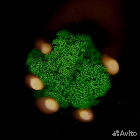 Стабилизированный ягель от производителя, Зелёное