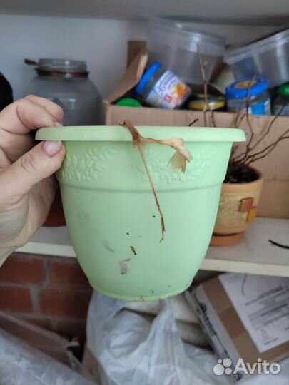 Горшки цветочные