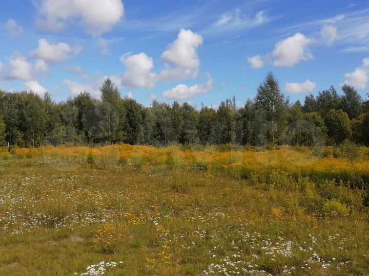 Участок 15 сот. (ИЖС)