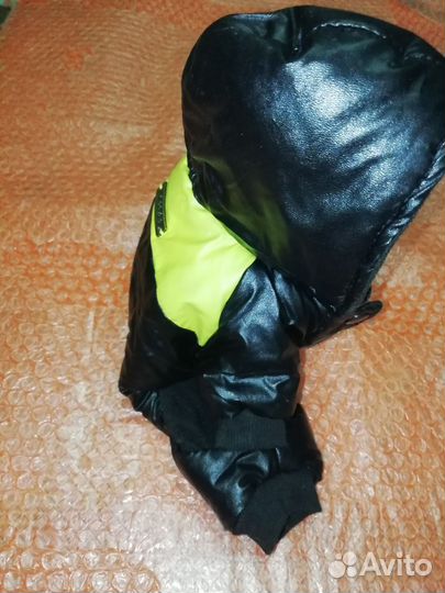 Одежда для собак