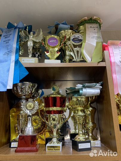 Кубки, наградные розетки