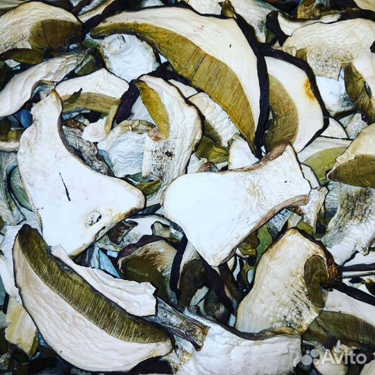 Грибы белые, маслята, красные, лисичка