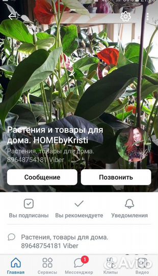 Комнатные растения