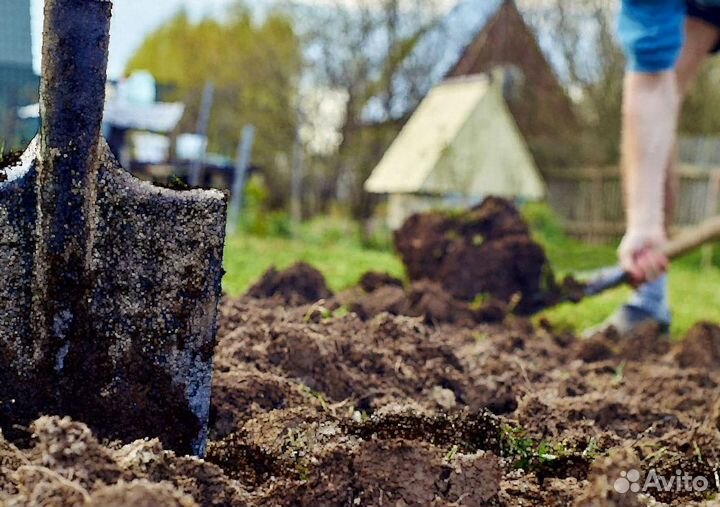 Плодородный грунт