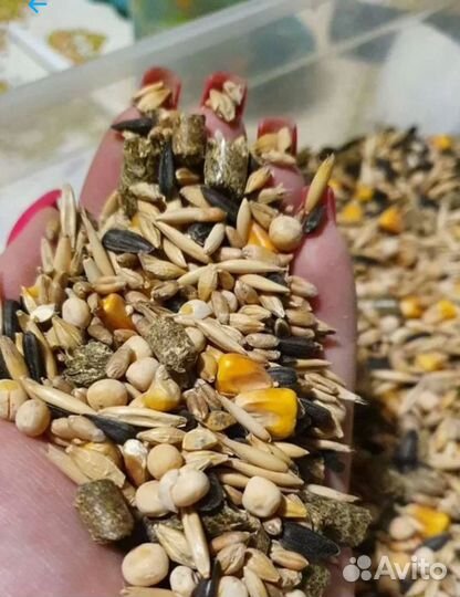 Корм для ваших питомцев с доставкой