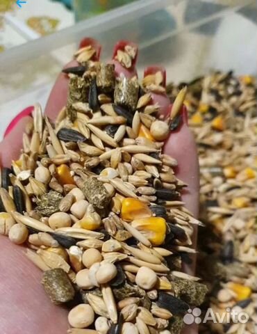 Корм для ваших питомцев с доставкой