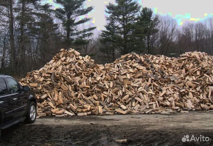 Дрова со Всеволожска