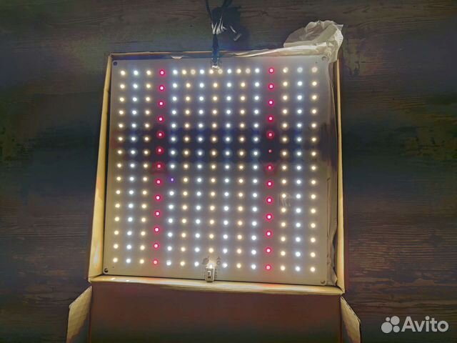 Фитолампа Quantum Board 65Вт Новые Veg/Bloom