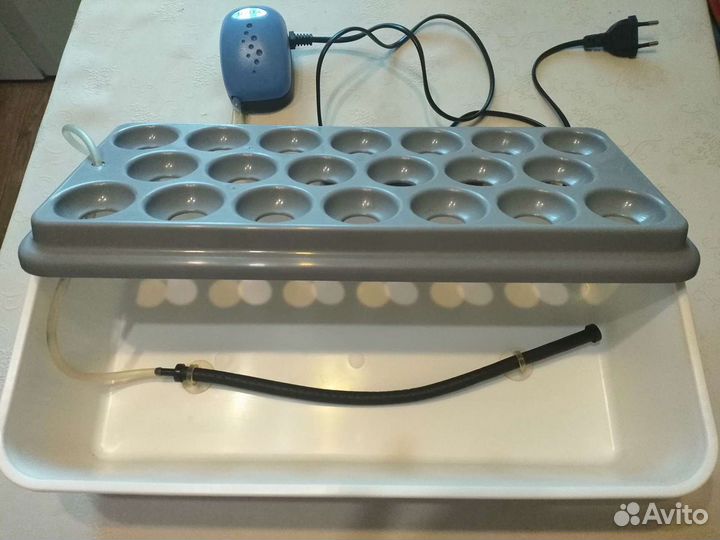 Прибор для выращивания лука 