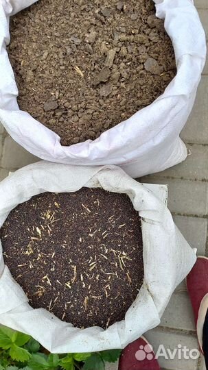 Рапс,жмых подсолнечника