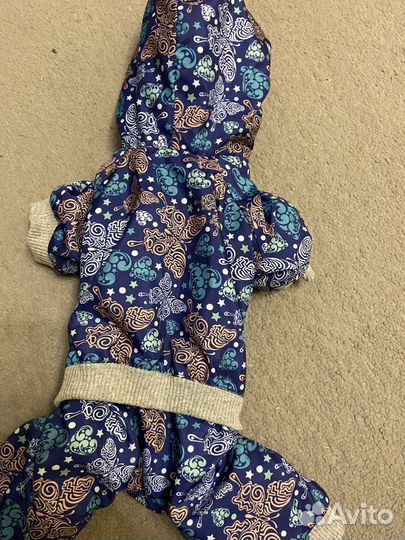 Костюмчик для собачки