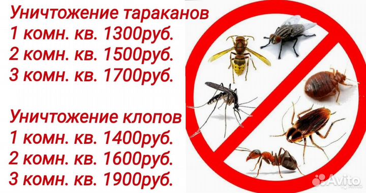 Уничтожение клопов травить тараканов обработка