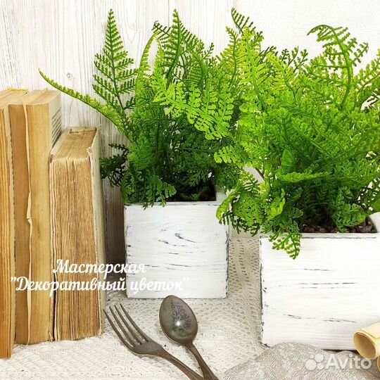 Ящики с декоративной зеленью