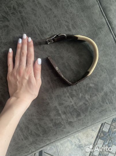 Собачий ошейник