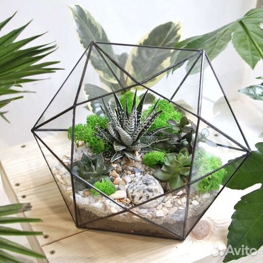 Флорариум из суккулентов
