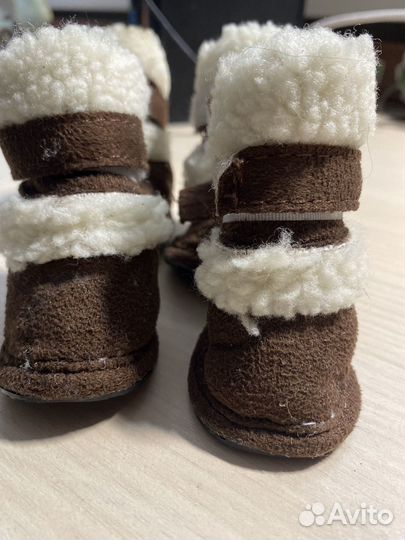 Ботинки для маленьких собак