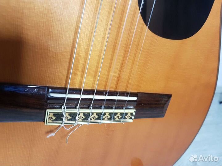 Классика Dia120 массив ели + трансдюсеры