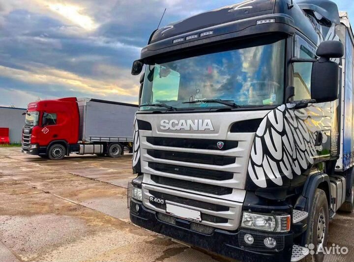 Услуги Рефа