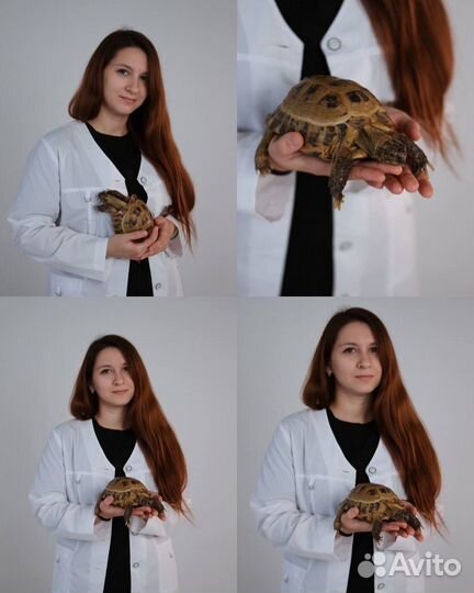 Ветеринарный врач - герпетолог (лечение рептилий и